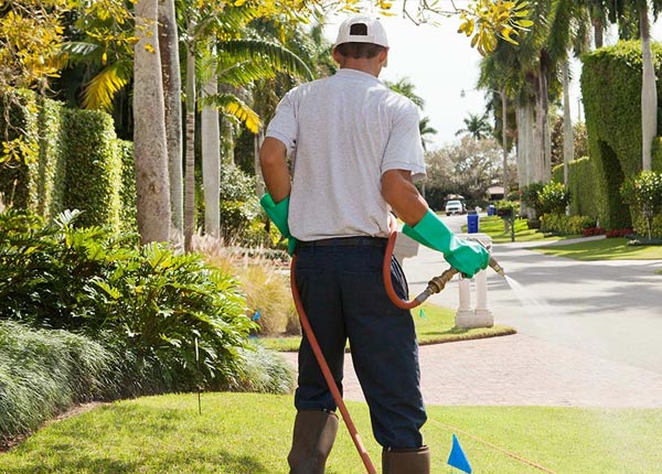 About Spokane WA Pest Control